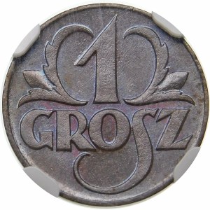 1 grosz 1923