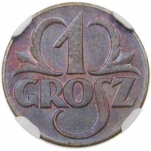 1 grosz 1923