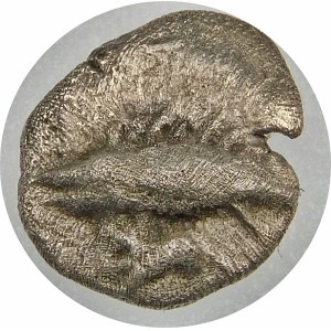 Grecja, Myzja-Kyzikos, hemiobol ok. 600-550 p.n.e.
