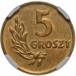 PRÓBA 5 groszy 1949 bez napisu próba - mosiądz