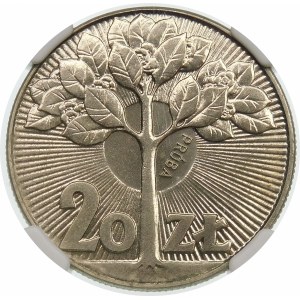 Próba 20 złotych 1973 Drzewo - nikiel