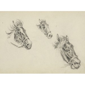 Tadeusz Rybkowski (1848-1926), Szkice głów końskich