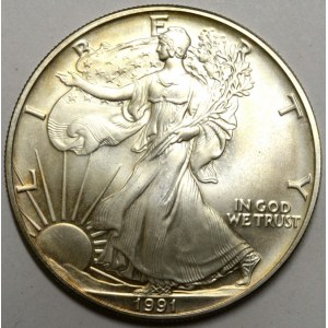 USA.  1 dollar 1991, 1 oz Ag