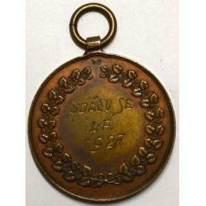 Záslužná medaile 1927 - za statečnost projevenou zachráněním Burského práporu. Rytý text / ve věnci rytý text. Nesign...