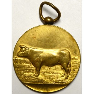 Provinční soutěž, Libramont 1934. Ve věnci medailon s 5-řádkovým textem / stojící býk. Bronz zlac. 46 mm, pův...