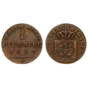 Germany  PRUSSIA 1 Pfennig 1837A Friedrich Wilhelm III(1797-1840). Averse...