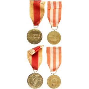 Poland Medal of Victory and Freedom 1945. Av: Eagle and the inscription KRAJOWA NARODOWA. Rv...
