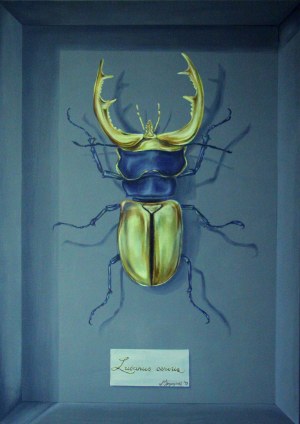 Michał Spryszyński (ur. 1987), Lucanus cervus, 2017