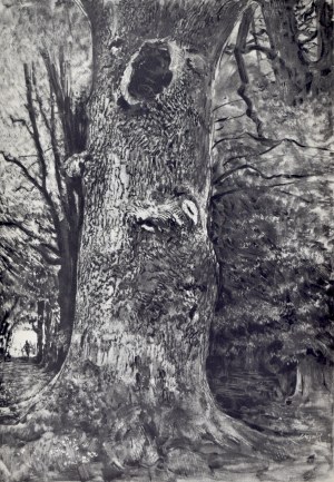 Leon Wyczółkowski (1852-1936), Dąb Wyczółkowskiego w Nowym Jasińcu pod Bydgoszczą