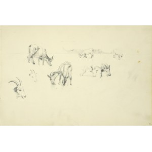 Włodzimierz Tetmajer (1861 - 1923), Szkice pasących się krowy i kozy, 1907