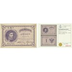 1 złoty 1919 - S.90 F - Kolekcja Lucow