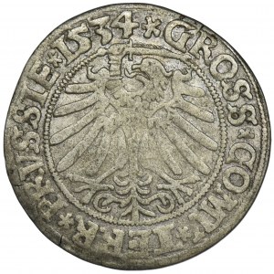 Zygmunt I Stary, Grosz Toruń 1534 - PRVSSIE