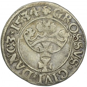 Zygmunt I Stary, Grosz Gdańsk 1534 - PR
