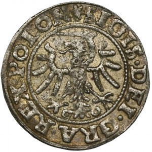 Sigismund I the Old, Shilling Danzig 1546