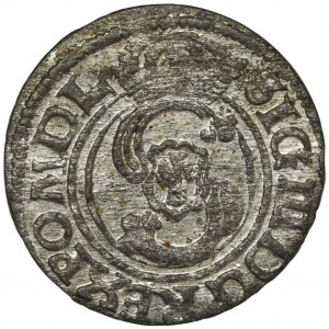 Zygmunt III Waza, Szeląg Wilno 1625 - RZADKI, L wybite z dwóch I