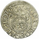 Zygmunt III Waza, Półtorak Bydgoszcz 1623 - NIENOTOWANY, przebitka w jabłku