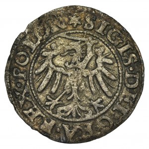 Sigismund I the Old, Shilling Danzig 1546