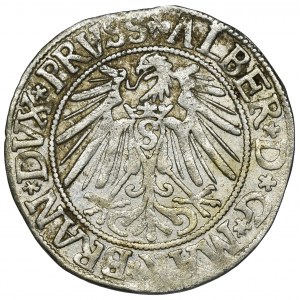 Prusy Książęce, Albrecht Hohenzollern, Grosz Królewiec 1543