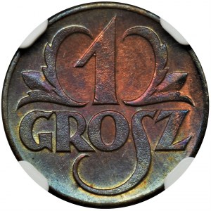 1 grosz 1923 - NGC MS64 RB