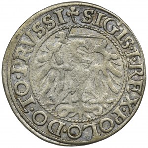 Zygmunt I Stary, Grosz Elbląg 1540 - PRVSSI