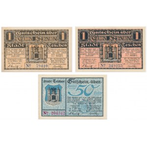 Cieszyn, set of assignia from 1919 (3 pieces).