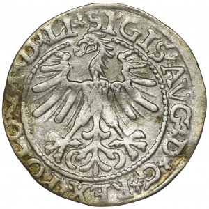 Zygmunt II August, Półgrosz Wilno 1563 - LI/LITV