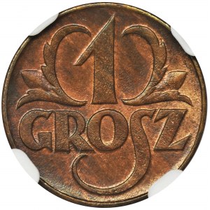 1 grosz 1923 - NGC MS65 BN