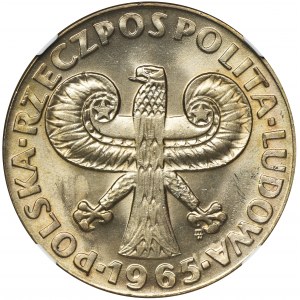 10 złotych 1965 Duża Kolumna - NGC MS66