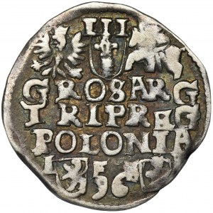 Sigismund III Vasa, 3 Groschen Posen 1596