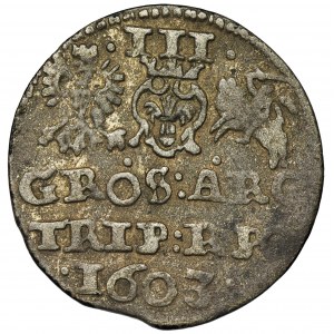 Sigismund III Vasa, 3 Groschen 1603 - FORGERY