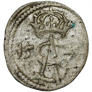 Sigismund II August, 2 Denarius Vilnius 1570