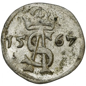 Sigismund II August, 2 Denarius Vilnius 1567