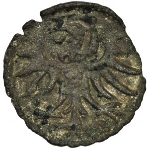 Sigismund II August, Denarius Danzig 1555