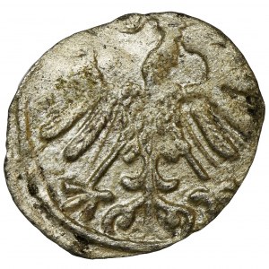 Sigismund II August, Denarius Vilnius 1559