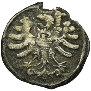 Sigismund I the Old, Prussia denarius no date Thorn - RARE