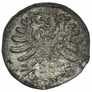 Sigismund I the Old, Prussia denarius no date Thorn - RARE