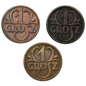 Zestaw, 1 grosz (3 szt.)