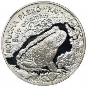 20 złotych 1998 Ropucha Paskówka - NGC PF68 ULTRA CAMEO