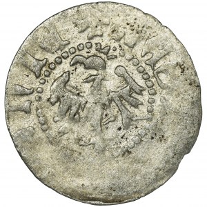 Ladislaus II Jagiello, Ternarius Krakau no date