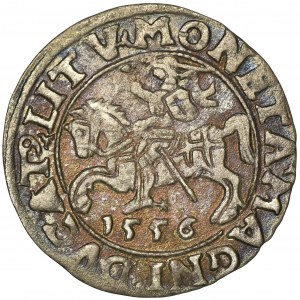 Sigismund II August, Halfgroat Vilnius 1556 - LI/LITV