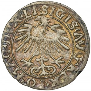 Sigismund II August, Halfgroat Vilnius 1556 - LI/LITV