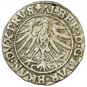 Duchy of Prussia, Albrecht Hohenzollern, Groschen Königsberg 1546