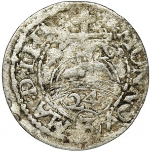 Sigismund III Vasa, 3 Polker Vilnius 1619 - RARE