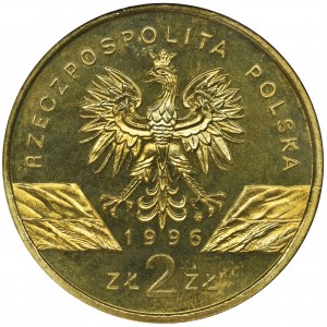 2 złote 1996 Jeż - NGC MS65