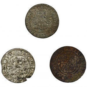 Set, Sigismund III Vasa, Schillings (3 pcs.)