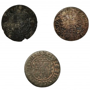 Set, Sigismund III Vasa, Schillings (3 pcs.)