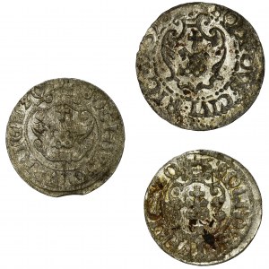 Set, Sigismund III Vasa, Schillings (3 pcs.)