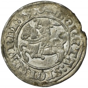 Sigismund I the Old, Halfgroat Vilnius 1510