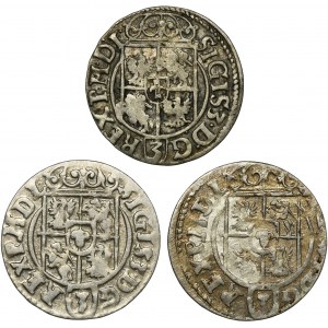 Set, Sigismund III Vasa, 3 Polker (3 pcs.)