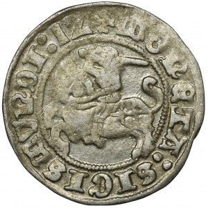 Sigismund I the Old, Halfgroat Vilnius 1512